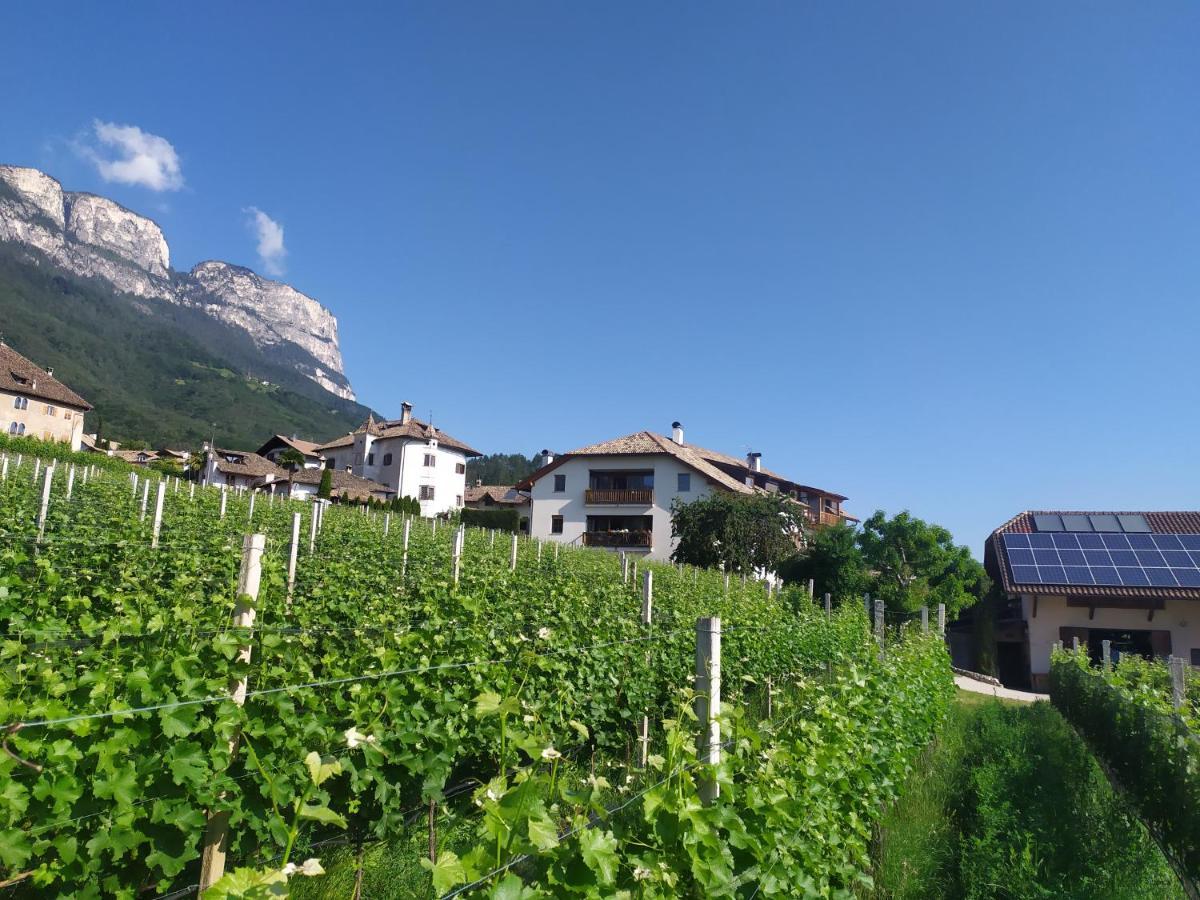 Apartament Weingut Lahn Zu Eppan Appiano Sulla Strada Del Vino Zewnętrze zdjęcie