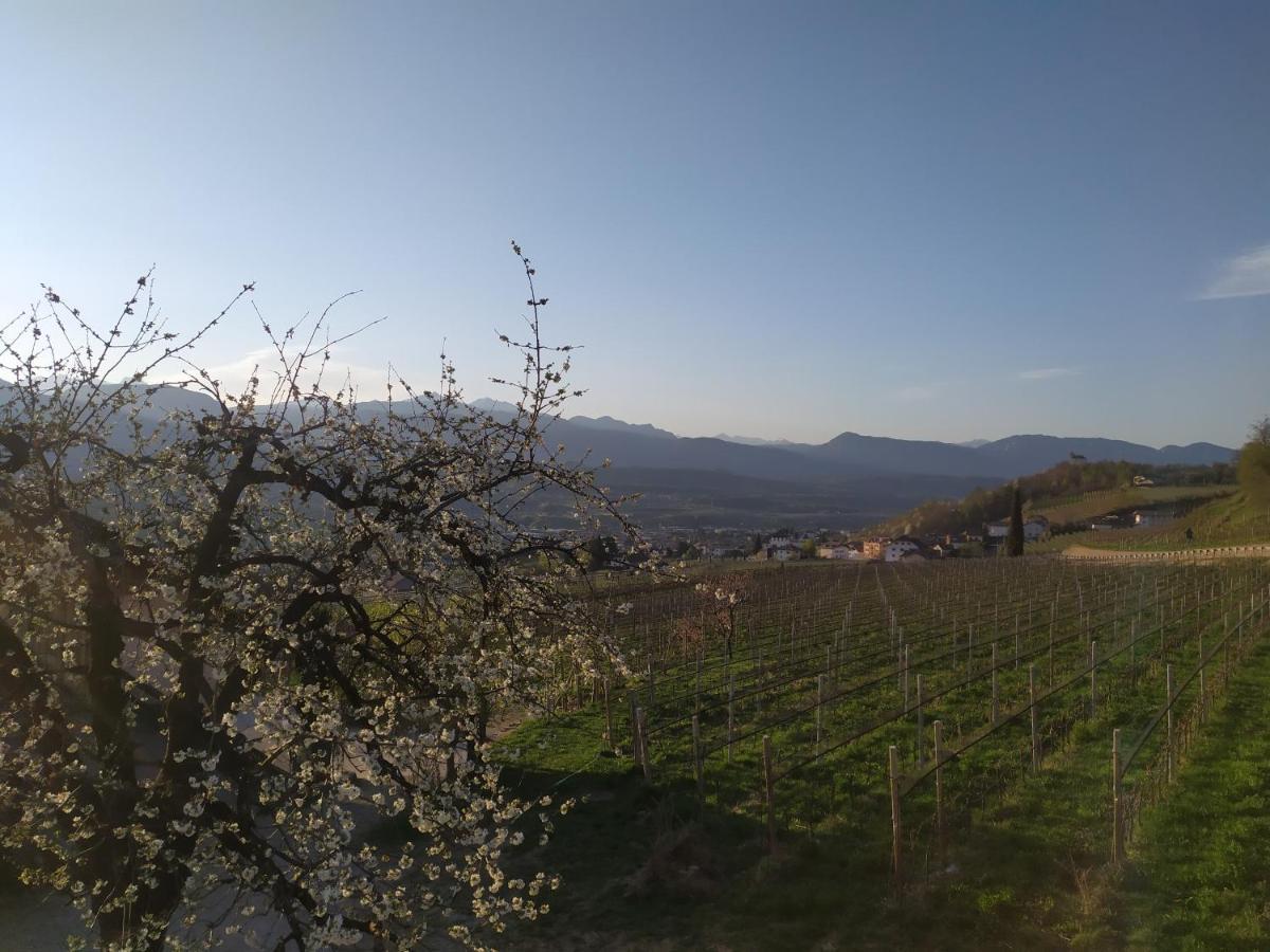 Apartament Weingut Lahn Zu Eppan Appiano Sulla Strada Del Vino Zewnętrze zdjęcie