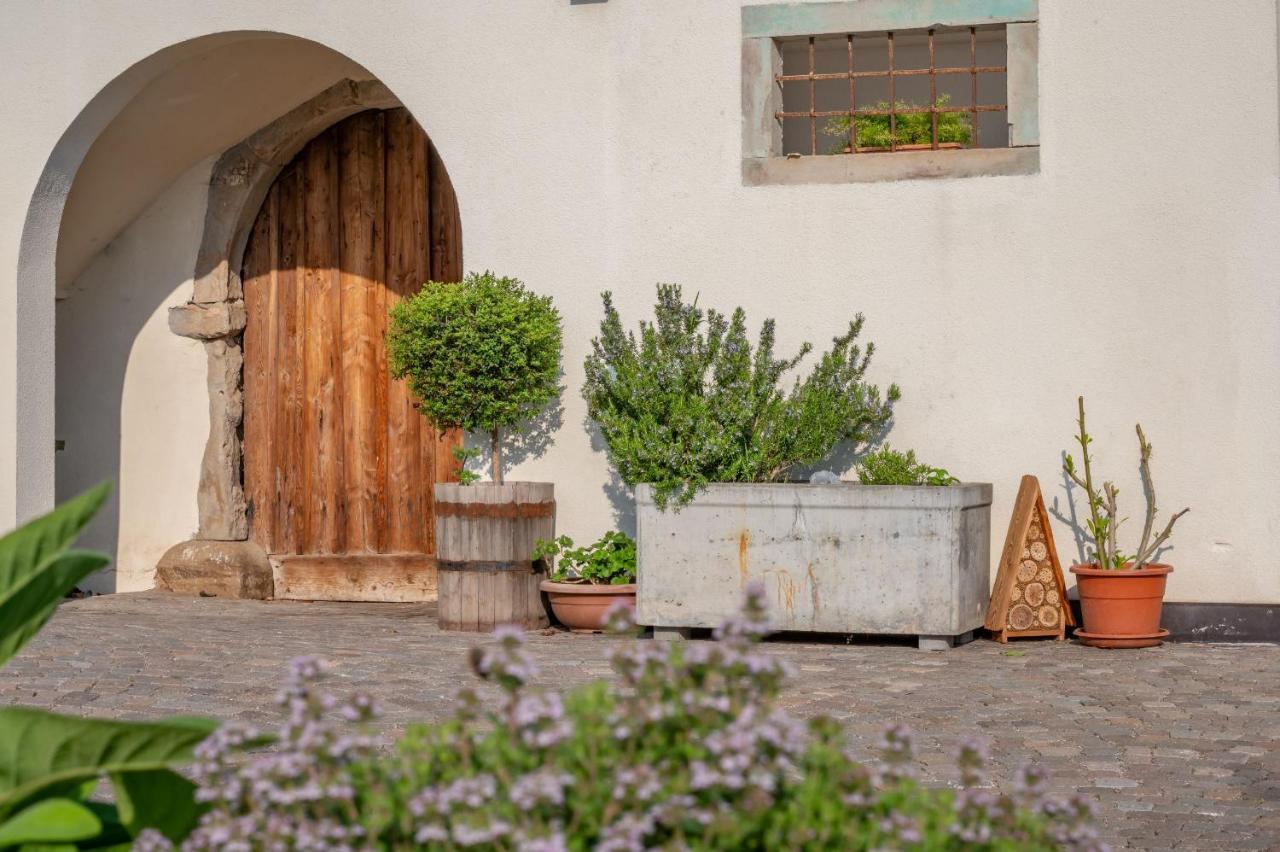 Apartament Weingut Lahn Zu Eppan Appiano Sulla Strada Del Vino Zewnętrze zdjęcie