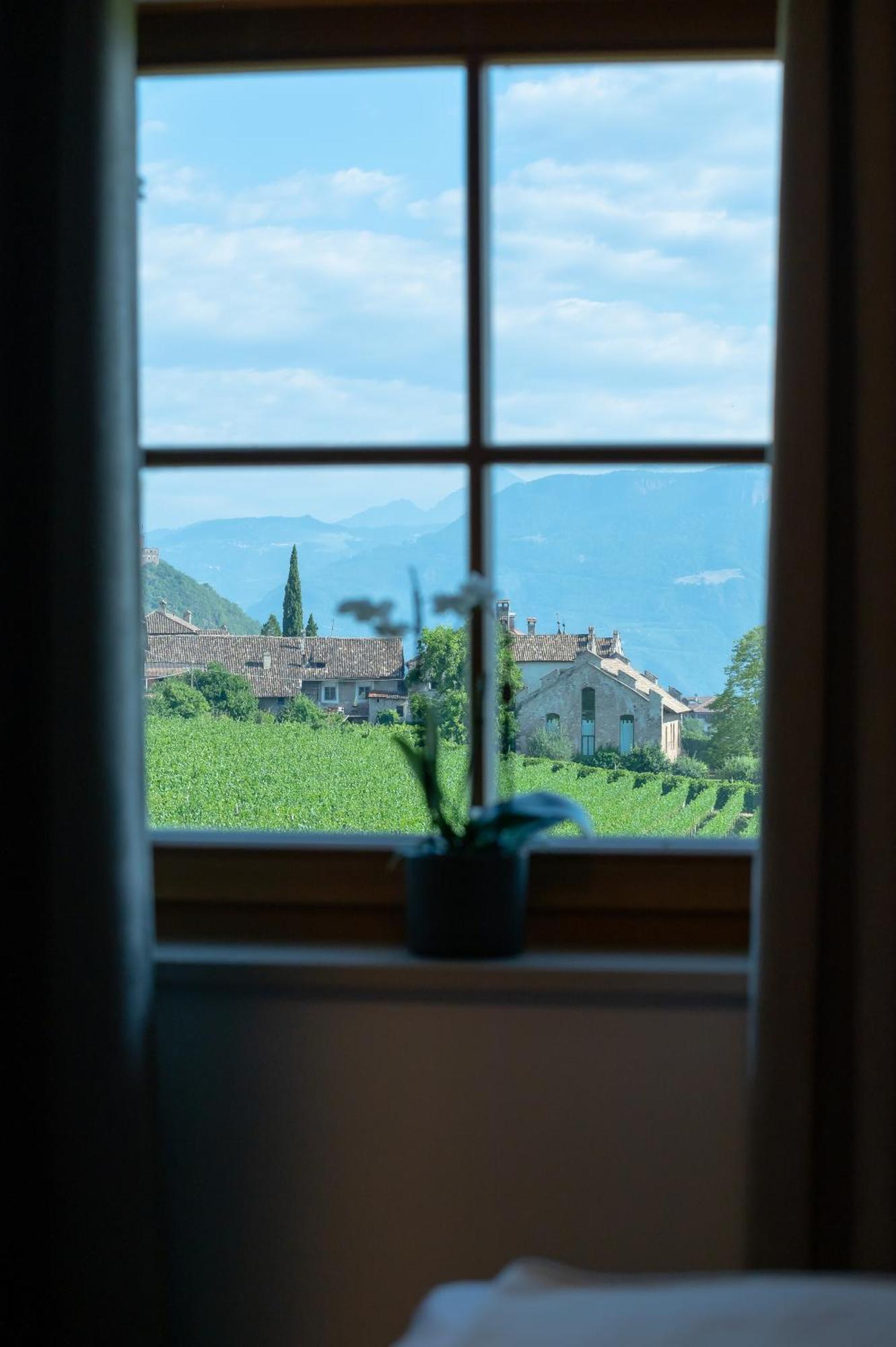 Apartament Weingut Lahn Zu Eppan Appiano Sulla Strada Del Vino Zewnętrze zdjęcie